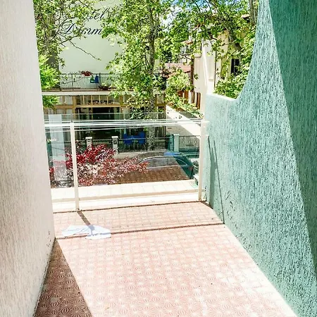 Zamagna 체제나티코